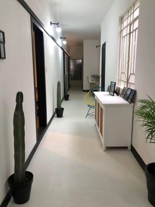 C6 Habitacion En Condesa Amsterdam Mexico by Eksteriør bilde